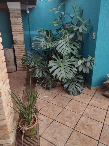 Casa à venda Costa Nova com 260m² e 4 quartos por R$ 550 - 1472809319-img-20231110-wa0030.jpg