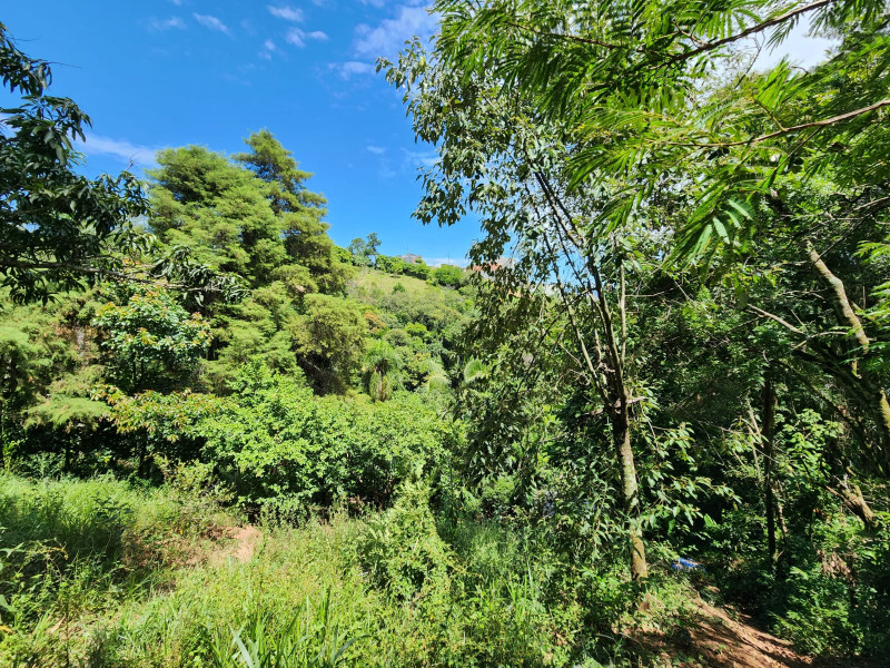 Terreno à venda Chácara Jaguari (Fazendinha) com 5000m² e 0 quartos por R$ 100.000 - 1472683458-whatsapp-image-2024-02-17-at-08.jpeg