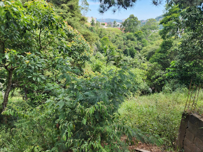 Terreno à venda Chácara Jaguari (Fazendinha) com 5000m² e 0 quartos por R$ 100.000 - 1492224002-whatsapp-image-2024-02-17-at-08.jpeg