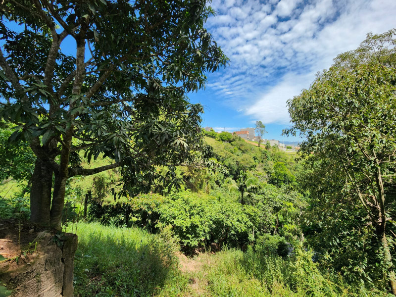 Terreno à venda Chácara Jaguari (Fazendinha) com 5000m² e 0 quartos por R$ 100.000 - 1663570786-whatsapp-image-2024-02-17-at-08.jpeg