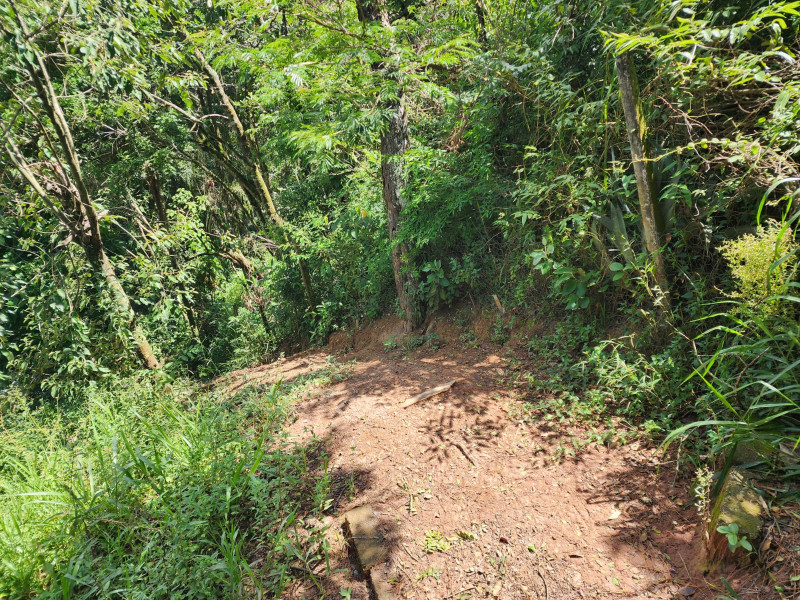 Terreno à venda Chácara Jaguari (Fazendinha) com 5000m² e 0 quartos por R$ 100.000 - 1760252282-whatsapp-image-2024-02-17-at-08.jpeg