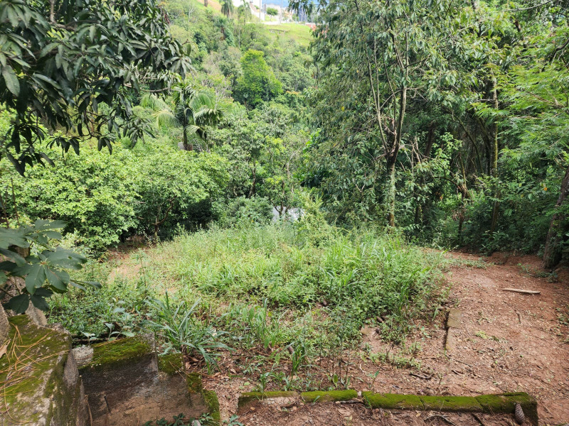 Terreno à venda Chácara Jaguari (Fazendinha) com 5000m² e 0 quartos por R$ 100.000 - 492673248-whatsapp-image-2024-02-17-at-08.jpeg