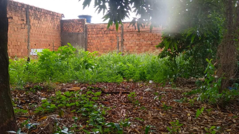 Terreno à venda Henriqueta com 242m² e 0 quartos por R$ 75.000 - 1580986914-whatsapp-image-2024-02-17-at-11.jpeg