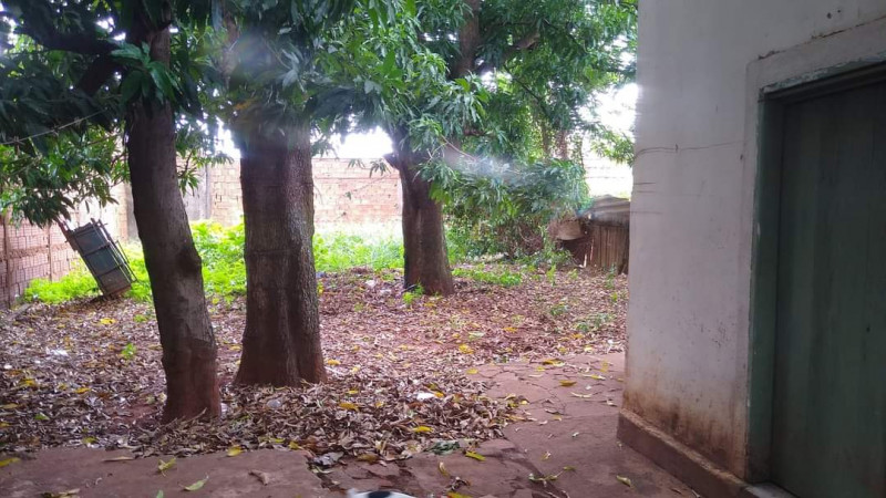 Terreno à venda Henriqueta com 242m² e 0 quartos por R$ 75.000 - 2002768548-whatsapp-image-2024-02-17-at-11.jpeg