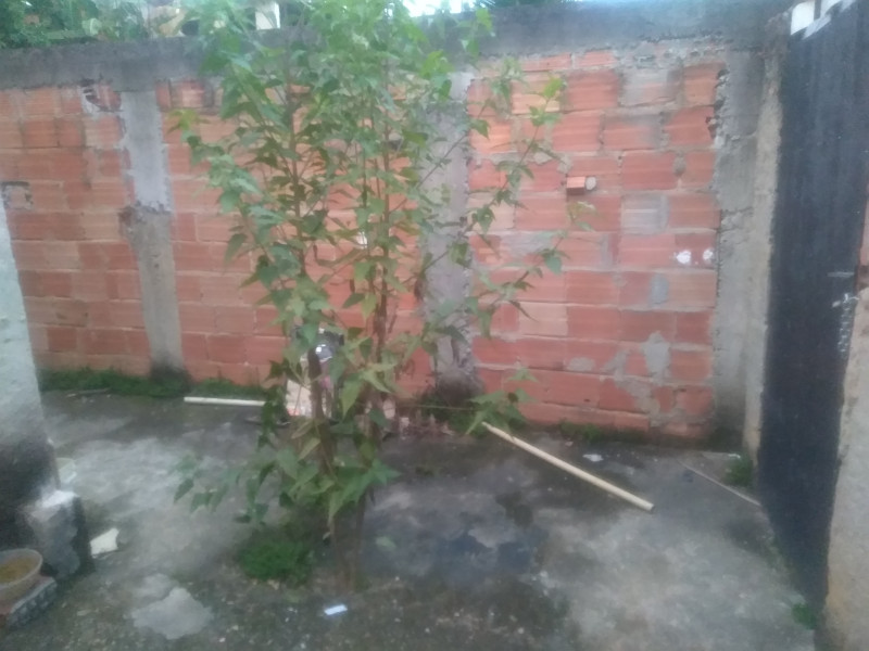 Casa à venda Sítio Retiro Feliz com 100m² e 1 quarto por R$ 25.000 - 163932189-p-20231231-183828.jpg