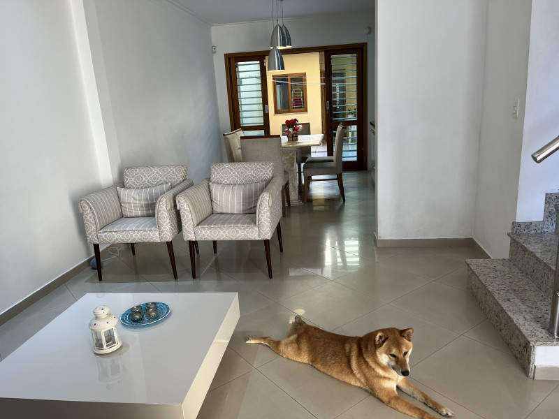 Casa à venda Cambuci com 183m² e 4 quartos por R$ 1.290.000 - 1146807830-img-2779.jpeg