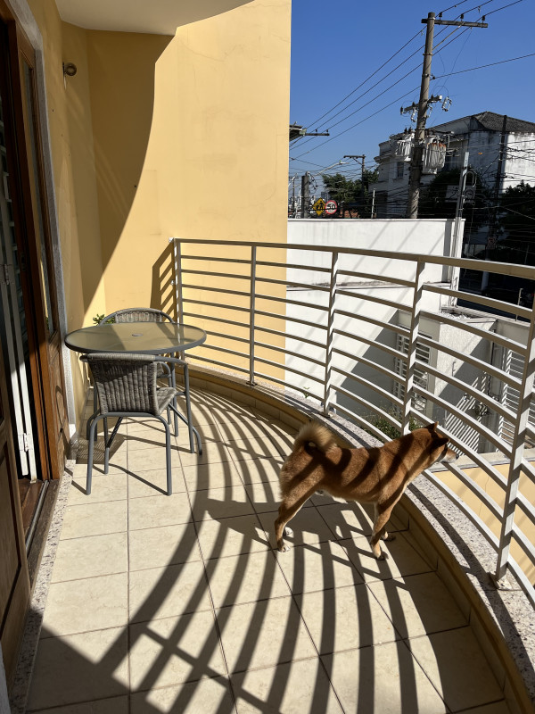 Casa à venda Cambuci com 183m² e 4 quartos por R$ 1.290.000 - 447308399-img-2772.jpeg