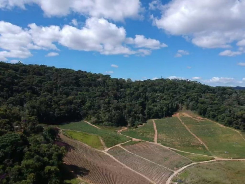 Fazenda à venda Centro com 554000m² e 3 quartos por R$ 3.999.000 - 101991954-551c2a09-b5a6-406e-a0cf-1f9f1cf028c0.jpeg