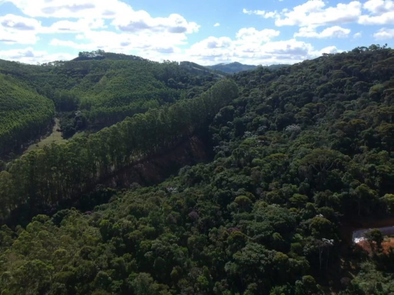 Fazenda à venda Centro com 554000m² e 3 quartos por R$ 3.999.000 - 1159746896-c9e0ae3b-fc00-419b-b791-181131bdcba7.jpeg