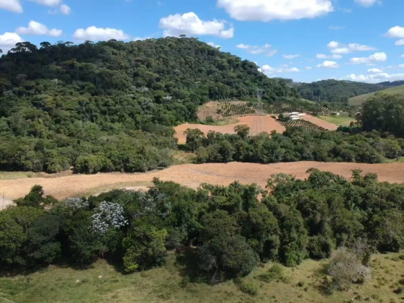Fazenda à venda Centro com 554000m² e 3 quartos por R$ 3.999.000 - 179654439-8ff9485b-3ef3-4257-9b22-0322b3cebb44.jpeg