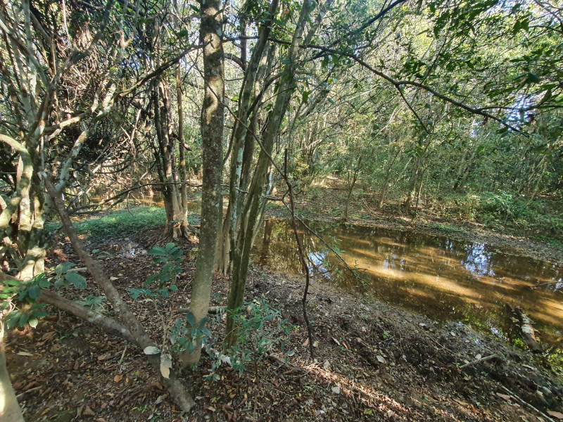 Fazenda à venda Centro com 554000m² e 3 quartos por R$ 3.999.000 - 1987528706-b5004013-2eed-4432-9cde-b986714af306.jpeg