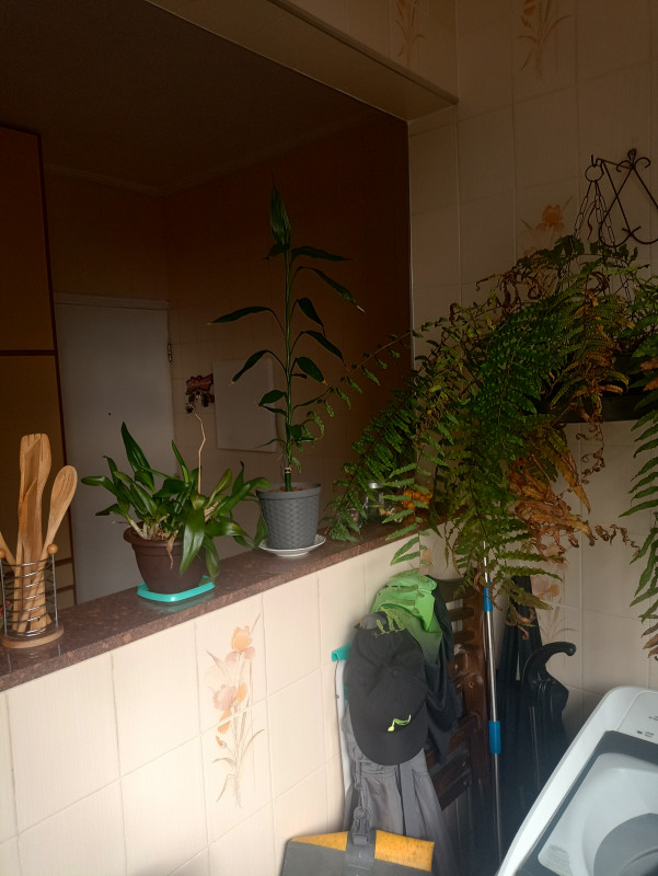 Apartamento à venda Ponta da Praia com 102m² e 2 quartos por R$ 520.000 - 1616165327-inbound2155781821714367858.jpg