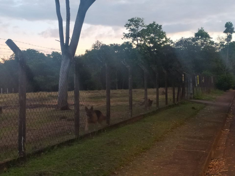 Terreno à venda Jardim Oriental com 800m² e 1 quarto por R$ 270.000 - 1687876994-336125452-6076015335826279-2469726975671877155-n.jpg