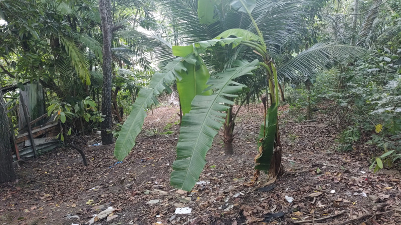 Casa à venda Cidade Nova com 144m² e 3 quartos por R$ 150.000 - 1265732480-img-20221218-171122420.jpg