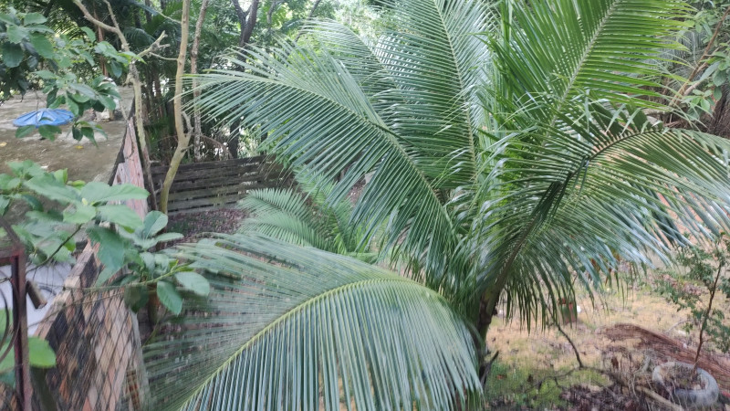 Casa à venda Cidade Nova com 144m² e 3 quartos por R$ 150.000 - 1467706730-img-20221218-171345064.jpg