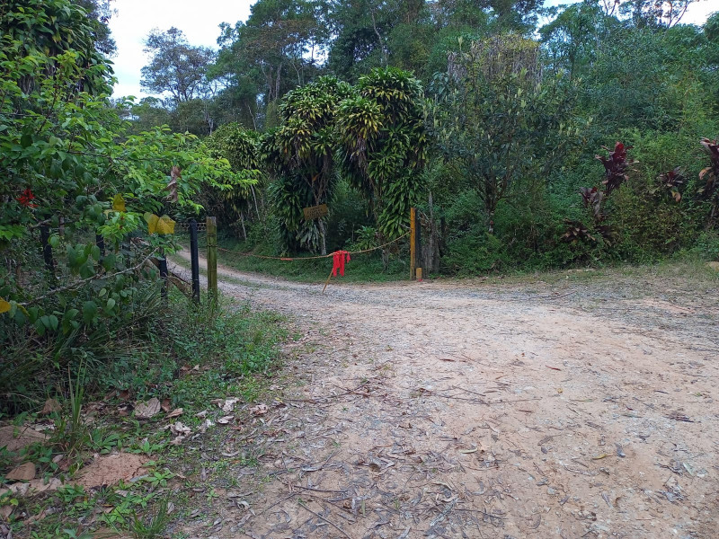 Sítio à venda centro com 100m² e 1 quarto por R$ 450.000 - 504191990-6ec9caf9-8a44-4014-a180-aa6b95de3441.jpg