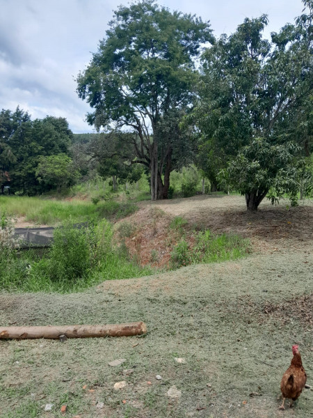 Terreno à venda Centro com 3m² e 1 quarto por R$ 150.000 - 695097714-imagem-do-whatsapp-de-2024-02-21-as-12.jpg