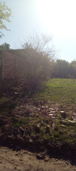 Terreno à venda Americana com 50m² e 1 quarto por R$ 55.000 - 353846351-img-20231030-wa0017.jpg