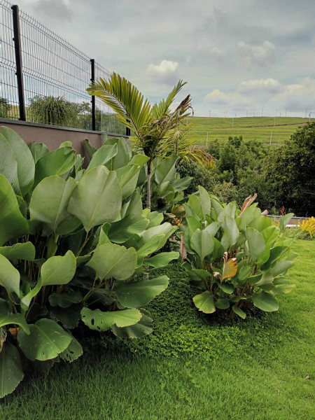 Casa de condomínio à venda Centro com 800m² e 4 quartos por R$ 4.500.000 - 1905249853-whatsapp-image-2024-02-26-at-15.jpeg