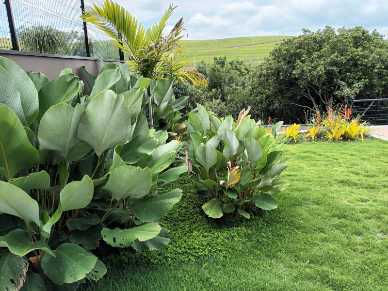 Casa de condomínio à venda Centro com 800m² e 4 quartos por R$ 4.500.000 - 2069942818-whatsapp-image-2024-02-26-at-15.jpeg