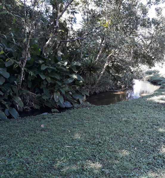 Terreno à venda centro com 16367m² e 1 quarto por R$ 215.000 - 1976463446-img-20231205-wa0038.jpg