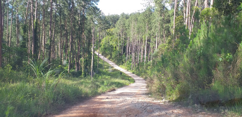 Terreno à venda centro com 16367m² e 1 quarto por R$ 215.000 - 219866923-img-20231205-wa0030.jpg