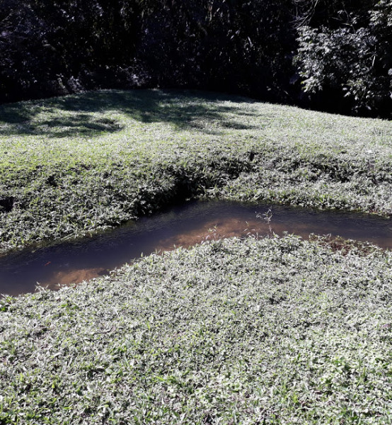 Terreno à venda centro com 16367m² e 1 quarto por R$ 215.000 - 273601768-img-20231205-wa0036.jpg