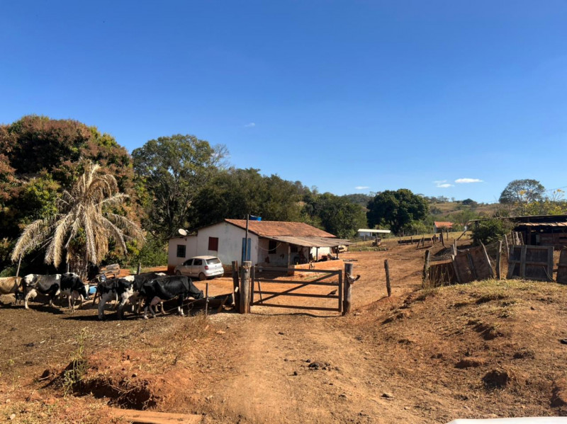Chácara à venda Centro com 140000m² e 2 quartos por R$ 1.500.000 - 1359588931-69875142-68a9-469d-bbe4-1664f36546f6.jpeg