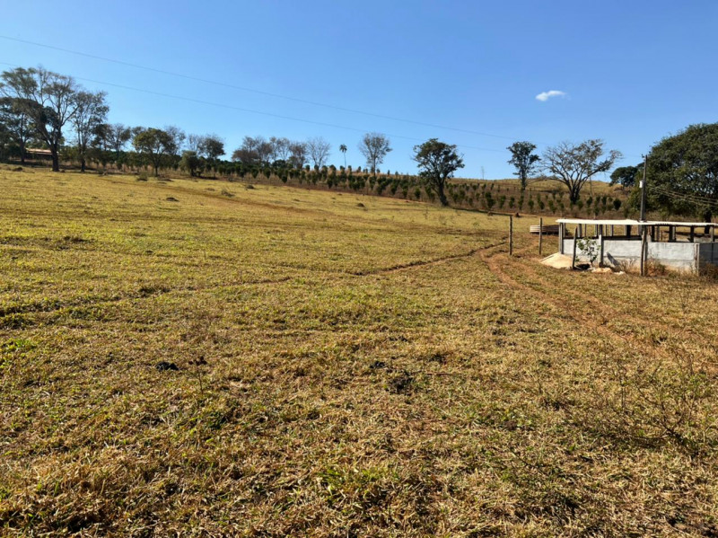 Chácara à venda Centro com 140000m² e 2 quartos por R$ 1.500.000 - 1388888019-b7631186-55db-4db3-ac61-57ed8f97a35a.jpeg