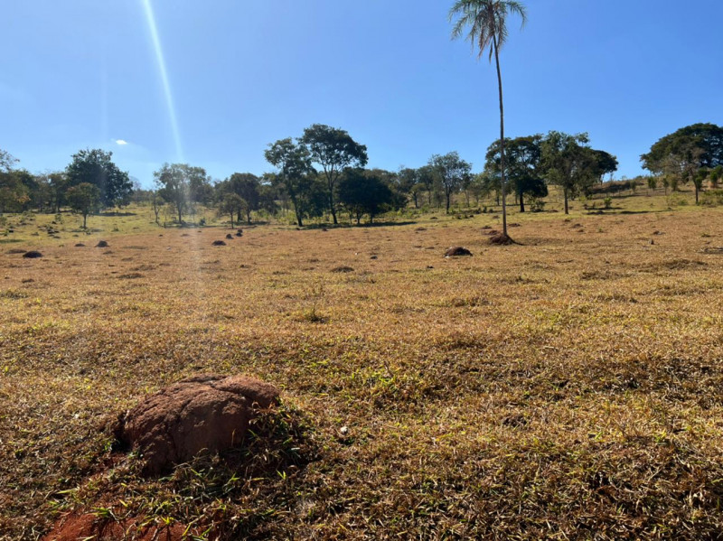 Chácara à venda Centro com 140000m² e 2 quartos por R$ 1.500.000 - 148180043-41d2a2b6-a118-402b-8543-eefe52ab033d.jpeg