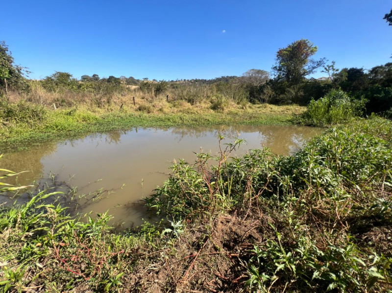 Chácara à venda Centro com 140000m² e 2 quartos por R$ 1.500.000 - 2064100946-57c6d04a-378d-4246-9eb2-0dfe9584b964.jpeg