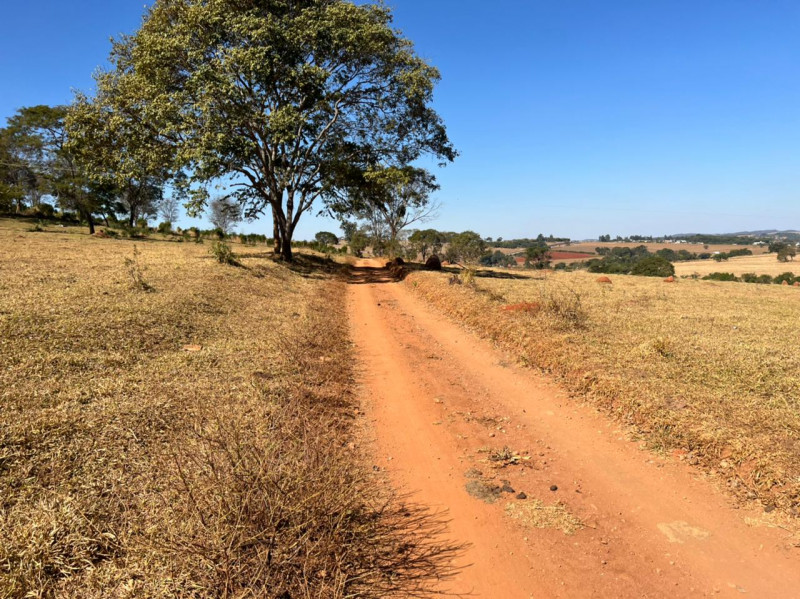 Chácara à venda Centro com 140000m² e 2 quartos por R$ 1.500.000 - 2096005301-db90112a-feba-4014-87b8-3ab86b691e06.jpeg