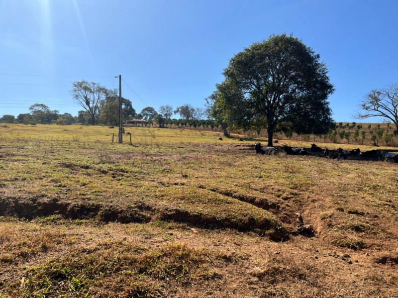 Chácara à venda Centro com 140000m² e 2 quartos por R$ 1.500.000 - 863937239-f4b15057-5e65-40d4-8342-34c2142d53eb.jpeg