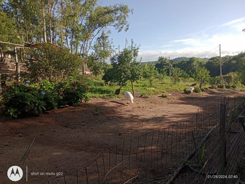 Sítio à venda Centro com 30000m² e 2 quartos por R$ 300.000 - 1567026856-0a48ef78-74c3-4a3e-a339-792f8de2e68f.jpeg