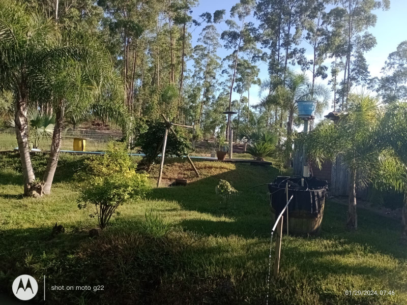 Sítio à venda Centro com 30000m² e 2 quartos por R$ 300.000 - 875540741-d48663b2-b5b9-4e13-86d9-4127d14d3227.jpeg