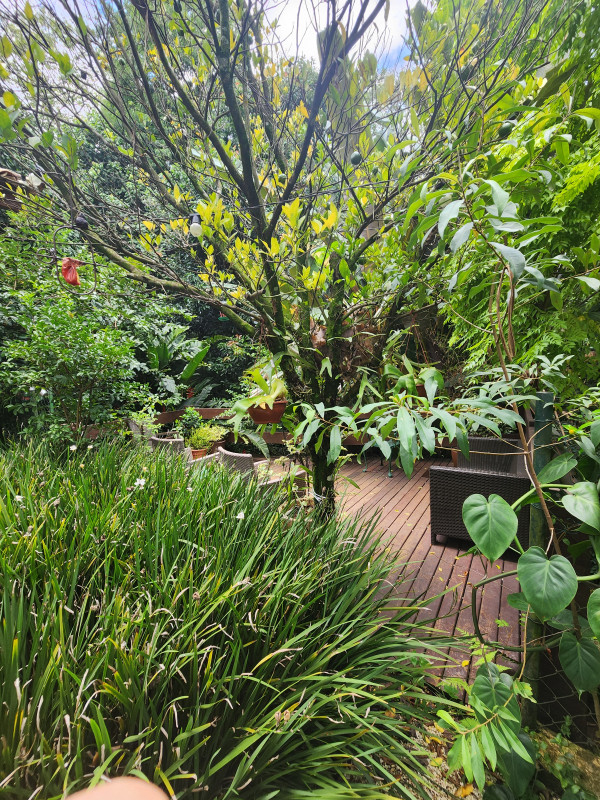 Casa de condomínio à venda Chácara do Refúgio com 185m² e 4 quartos por R$ 1.450.000 - 461223928-1000100130.jpg