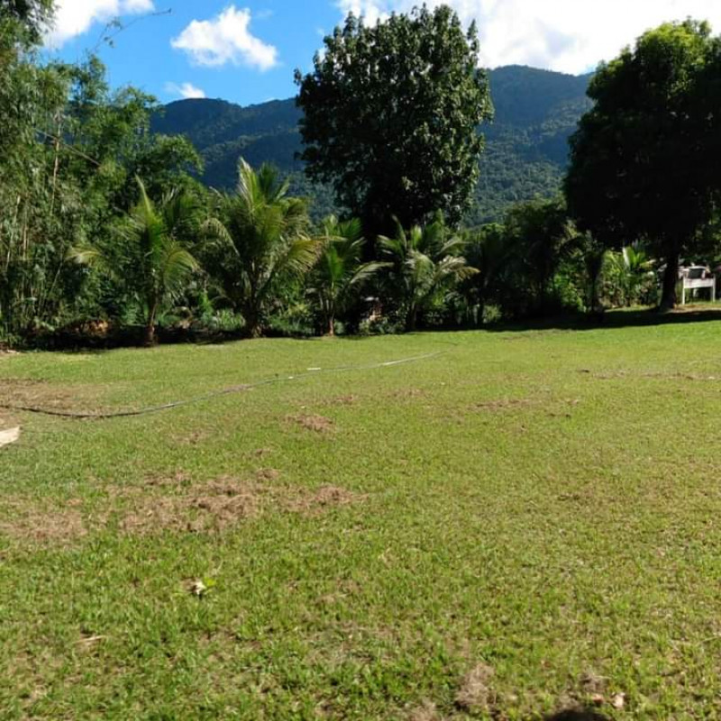 Sítio à venda Bangu com 3000m² e 1 quarto por R$ 250.000 - 249323685-img-20240301-wa0000.jpg