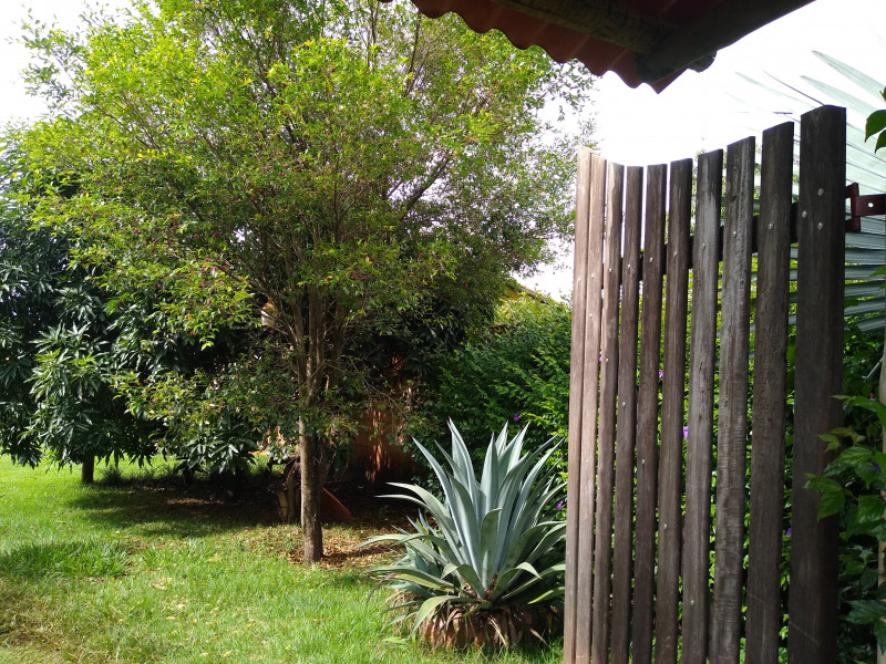 Sítio à venda Centro com 1000m² e 4 quartos por R$ 750.000 - 1229523521-img-20240115-153310504.jpg