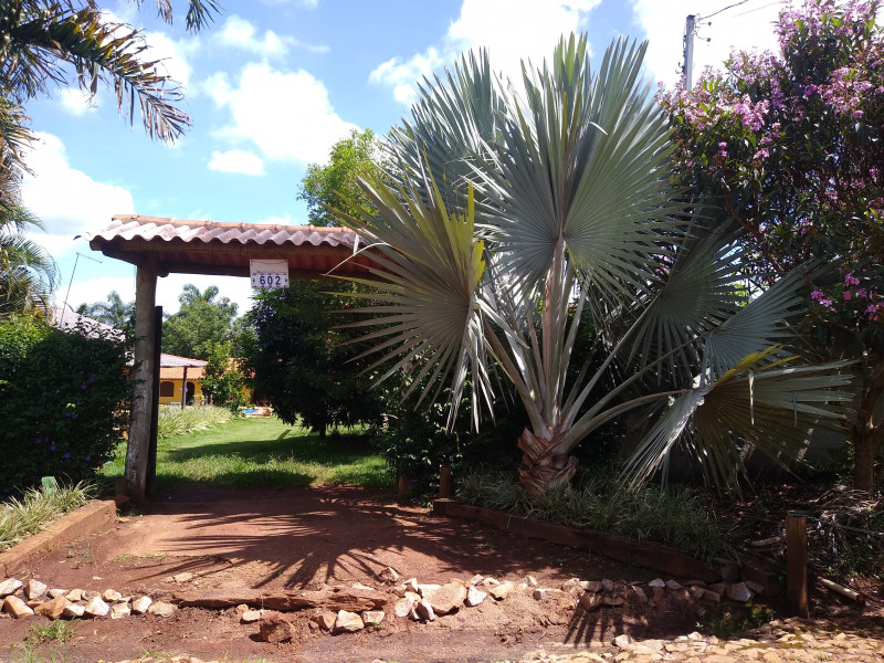 Sítio à venda Centro com 1000m² e 4 quartos por R$ 750.000 - 1277521993-img-20240122-100934833-copia.jpg