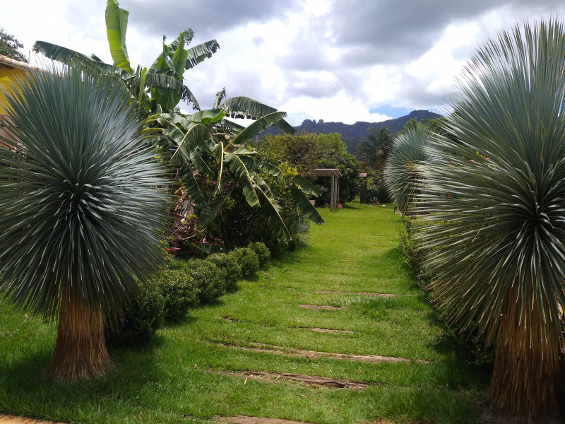 Sítio à venda Centro com 1000m² e 4 quartos por R$ 750.000 - 1363441165-img-20240122-115554824.jpg