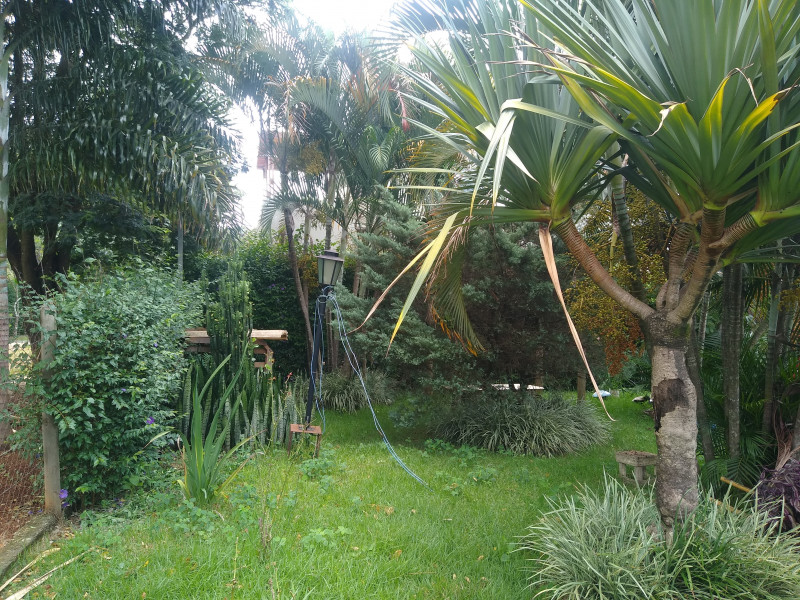 Sítio à venda Centro com 1000m² e 4 quartos por R$ 750.000 - 1499970384-img-20240122-120436417.jpg