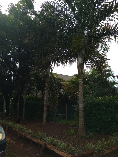 Sítio à venda Centro com 1000m² e 4 quartos por R$ 750.000 - 1578154199-img-20240115-153255806.jpg