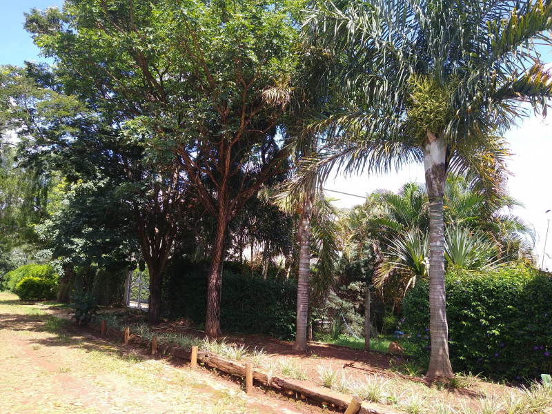 Sítio à venda Centro com 1000m² e 4 quartos por R$ 750.000 - 1643435139-img-20240122-100931466-copia.jpg