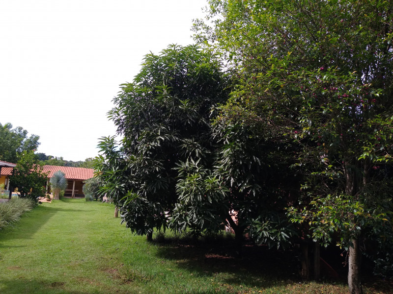 Sítio à venda Centro com 1000m² e 4 quartos por R$ 750.000 - 1951011954-img-20240115-153316570.jpg