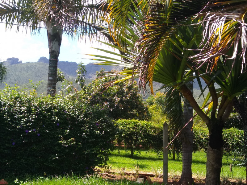 Sítio à venda Centro com 1000m² e 4 quartos por R$ 750.000 - 2051308166-img-20240122-101156489-copia.jpg