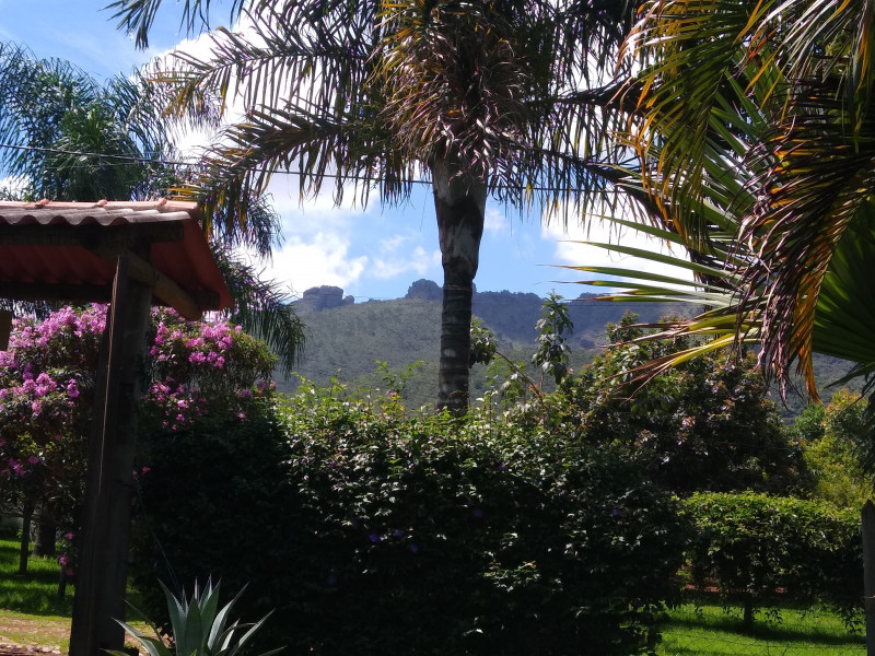 Sítio à venda Centro com 1000m² e 4 quartos por R$ 750.000 - 2100141643-img-20240122-101154327-copia.jpg