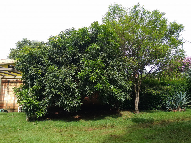 Sítio à venda Centro com 1000m² e 4 quartos por R$ 750.000 - 2118952535-img-20240115-153409462.jpg