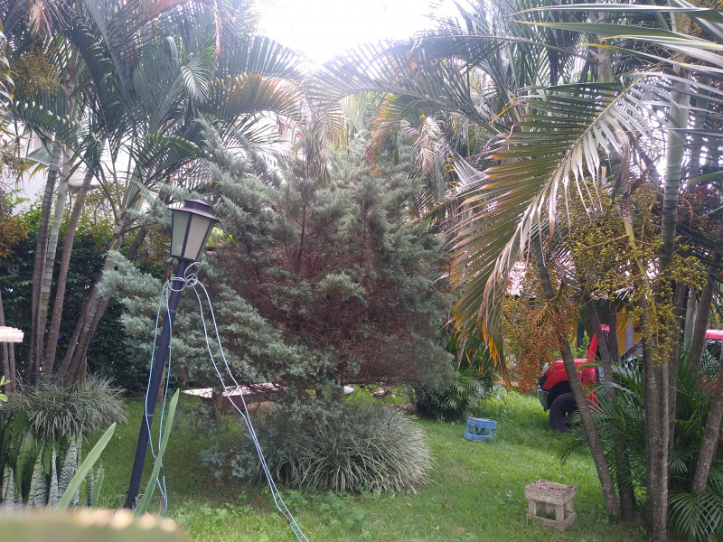 Sítio à venda Centro com 1000m² e 4 quartos por R$ 750.000 - 327069294-img-20240122-120444583.jpg