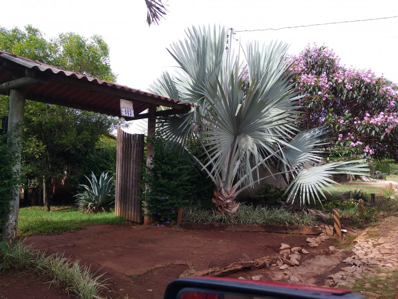 Sítio à venda Centro com 1000m² e 4 quartos por R$ 750.000 - 413934831-img-20240115-153234646.jpg