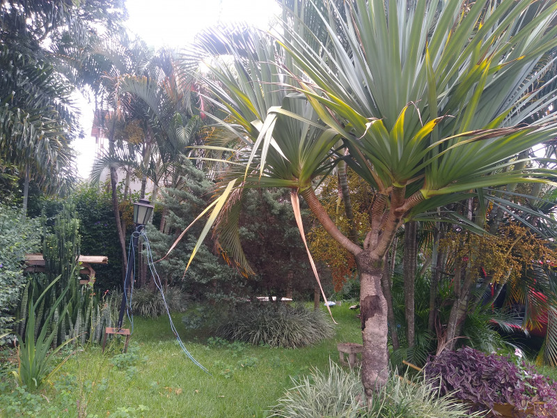 Sítio à venda Centro com 1000m² e 4 quartos por R$ 750.000 - 456798684-img-20240122-120434051.jpg